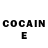Cocaine Fish Scale Antony Brandis